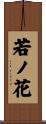 若ノ花 Scroll