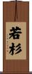 若杉 Scroll