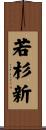 若杉新 Scroll