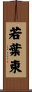 若葉東 Scroll