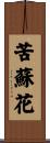 苦蘇花 Scroll