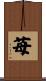 苺 Scroll