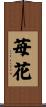 苺花 Scroll