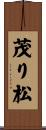 茂り松 Scroll