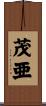 茂亜 Scroll