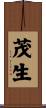 茂生 Scroll