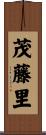 茂藤里 Scroll