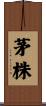 茅株 Scroll