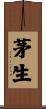 茅生 Scroll