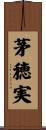 茅穂実 Scroll