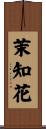 茉知花 Scroll