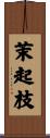 茉起枝 Scroll