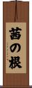茜の根 Scroll