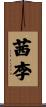 茜李 Scroll