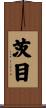 茨目 Scroll