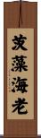 茨藻海老 Scroll