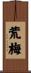荒梅 Scroll