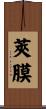莢膜 Scroll