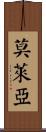 Molea Scroll