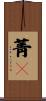 菁々 Scroll