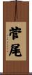 菅尾 Scroll