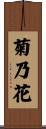菊乃花 Scroll