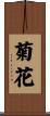 菊花 Scroll