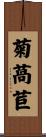 菊萵苣 Scroll