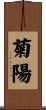 菊陽 Scroll