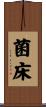 菌床 Scroll