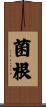 菌根 Scroll