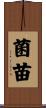菌苗 Scroll