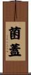 菌蓋 Scroll