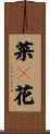 菜々花 Scroll