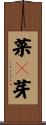 菜々芽 Scroll