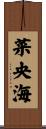 菜央海 Scroll