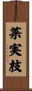 菜実枝 Scroll