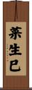 菜生巳 Scroll
