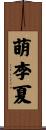 萌李夏 Scroll