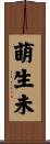 萌生未 Scroll
