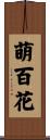 萌百花 Scroll