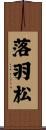 落羽松 Scroll