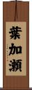 葉加瀬 Scroll