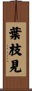 葉枝見 Scroll