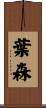 葉森 Scroll