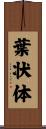 葉状体 Scroll