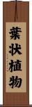 葉状植物 Scroll