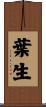 葉生 Scroll