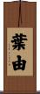 葉由 Scroll