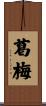 葛梅 Scroll